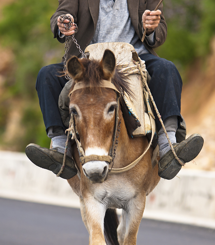 Albanien Aktuelle Reisen bild2