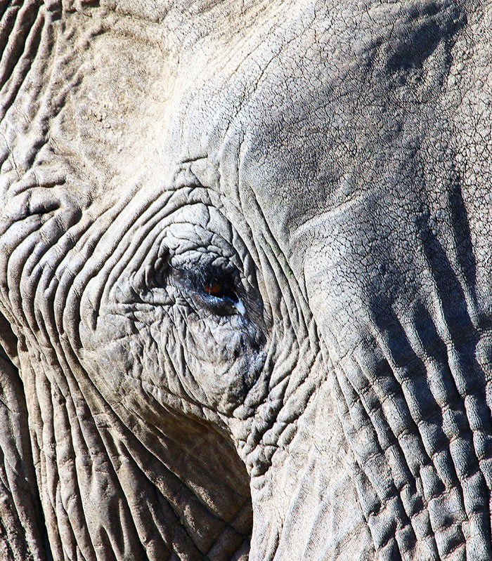 Afrika Aktuelle Reisen bild2