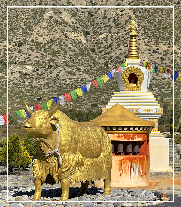 Vorschau Aktuelle Reisen Ladakh+Mustang - outline