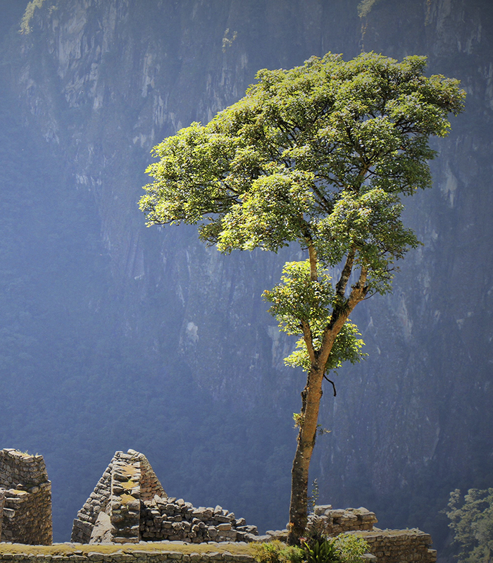 Peru Aktuelle Reisen Vorschau2027 bild1