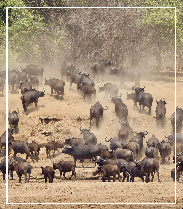 Vorschau Reise 2027 smongolei - outline