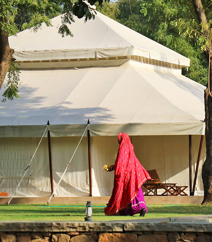 Arche Noah Expeditionen Dschungelbuch bild2