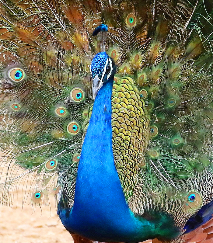 Arche Noah Expeditionen Dschungelbuch bild4