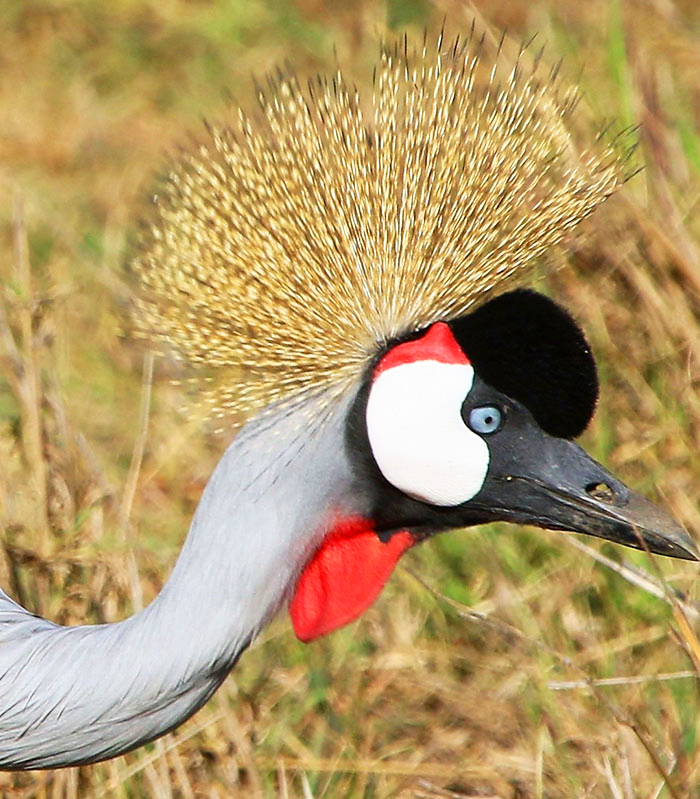Arche Noah Expeditionen kenia bild2