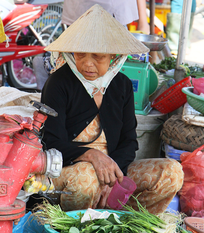 Asien vietnam Reisen bild1