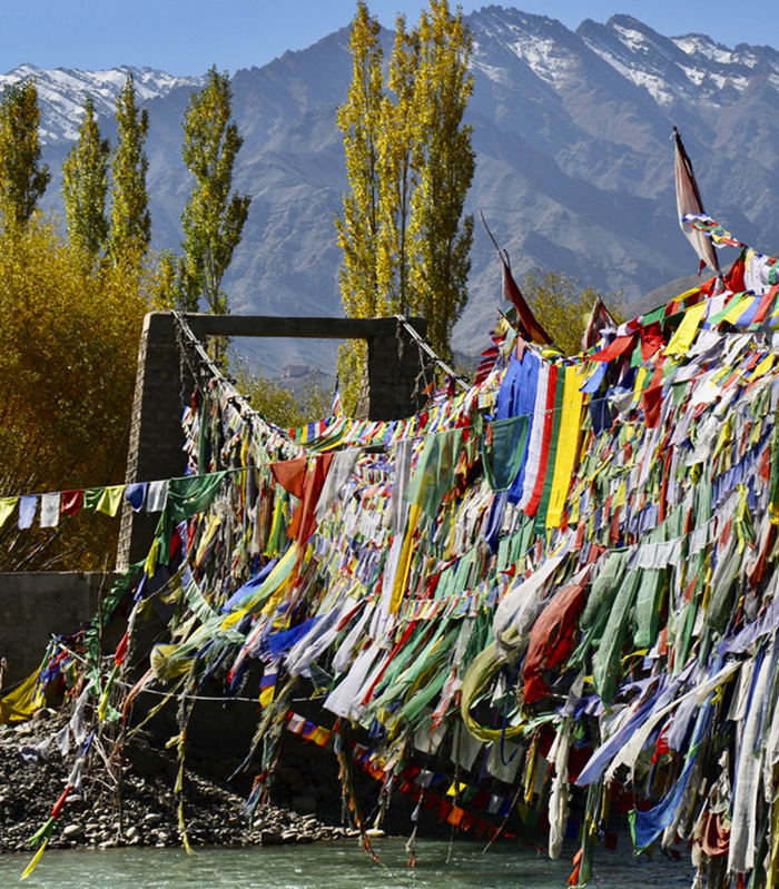 balsam-fuer-die-seele himalaya bild2