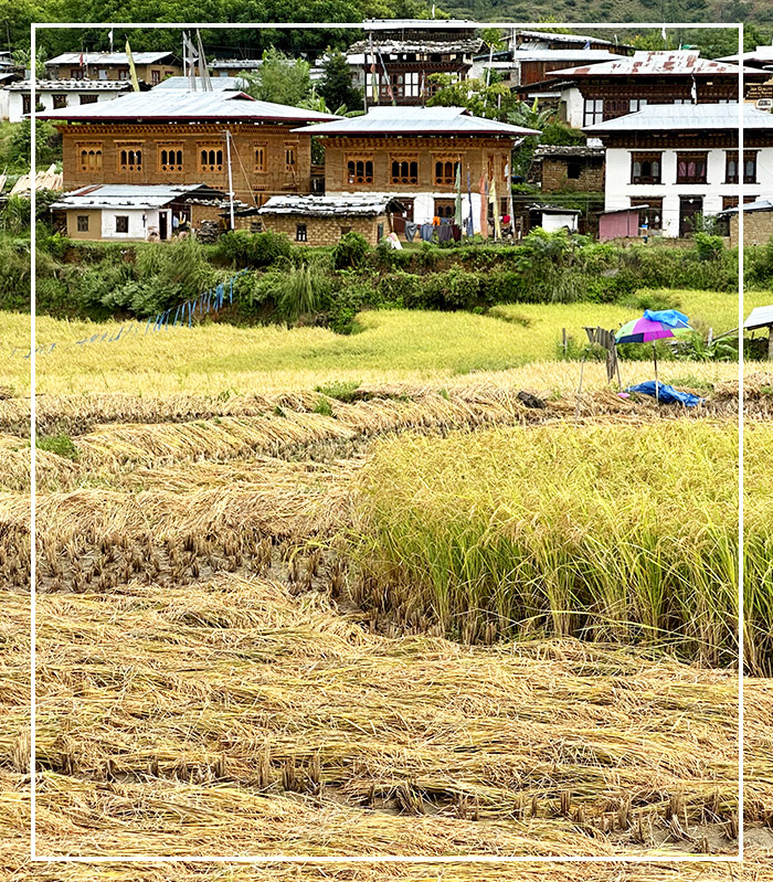 Indischer Subkontinent Reisen bhutan-outline