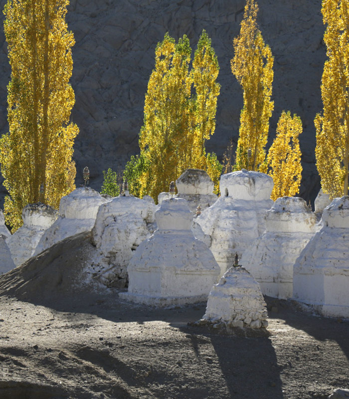 indischer-subkontinent-ladakh bild3